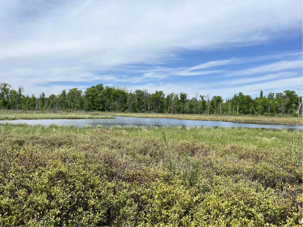13384 Sorenson Lake RD, Merrifield, MN 56465