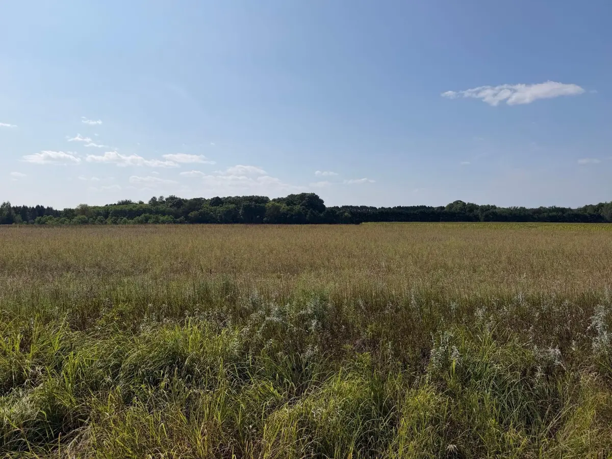 34660 Grand AVE, Stacy, MN 55079