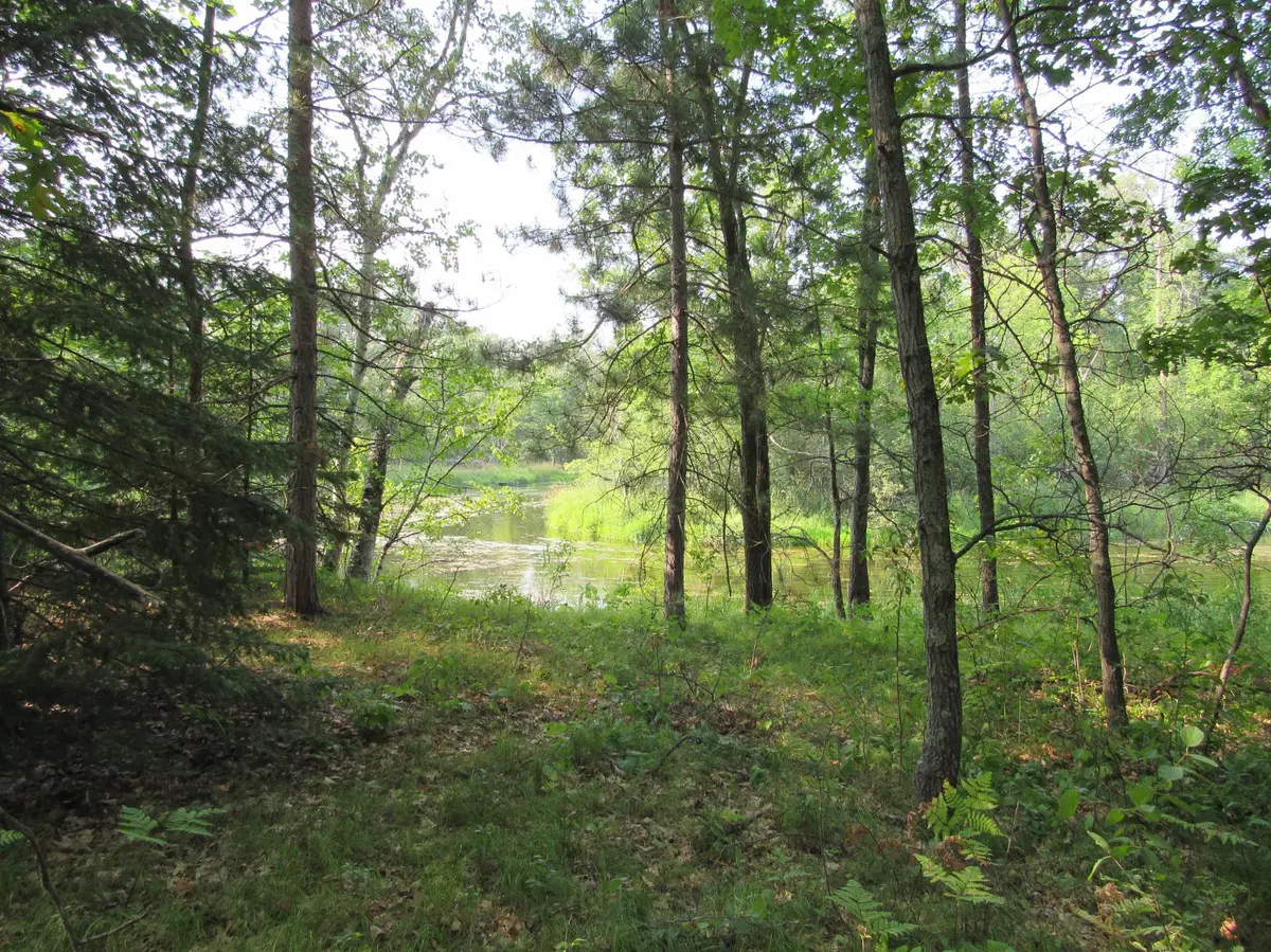 LOTS 5-11 TBD FRONT STREET FRONT STREET, Pine River, MN 56474