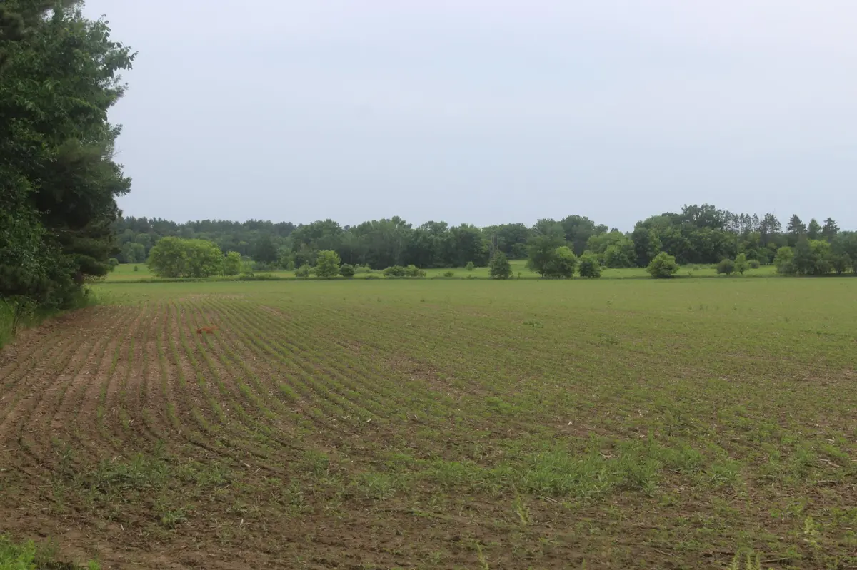 TBD-2 120th AVE, Ogilvie, MN 56358
