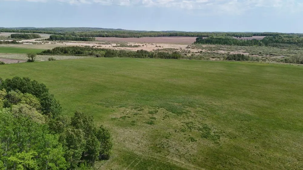 TBD County Highway 36, Frazee, MN 56544
