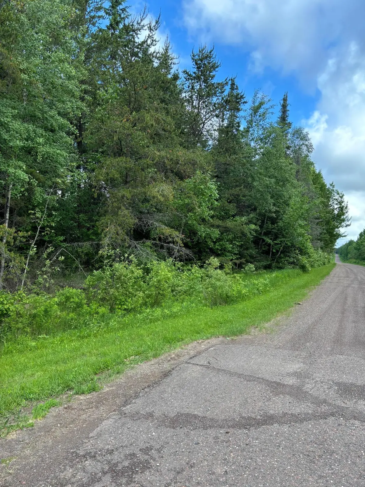 XXX Town Line RD, Bassett Twp, MN 55602
