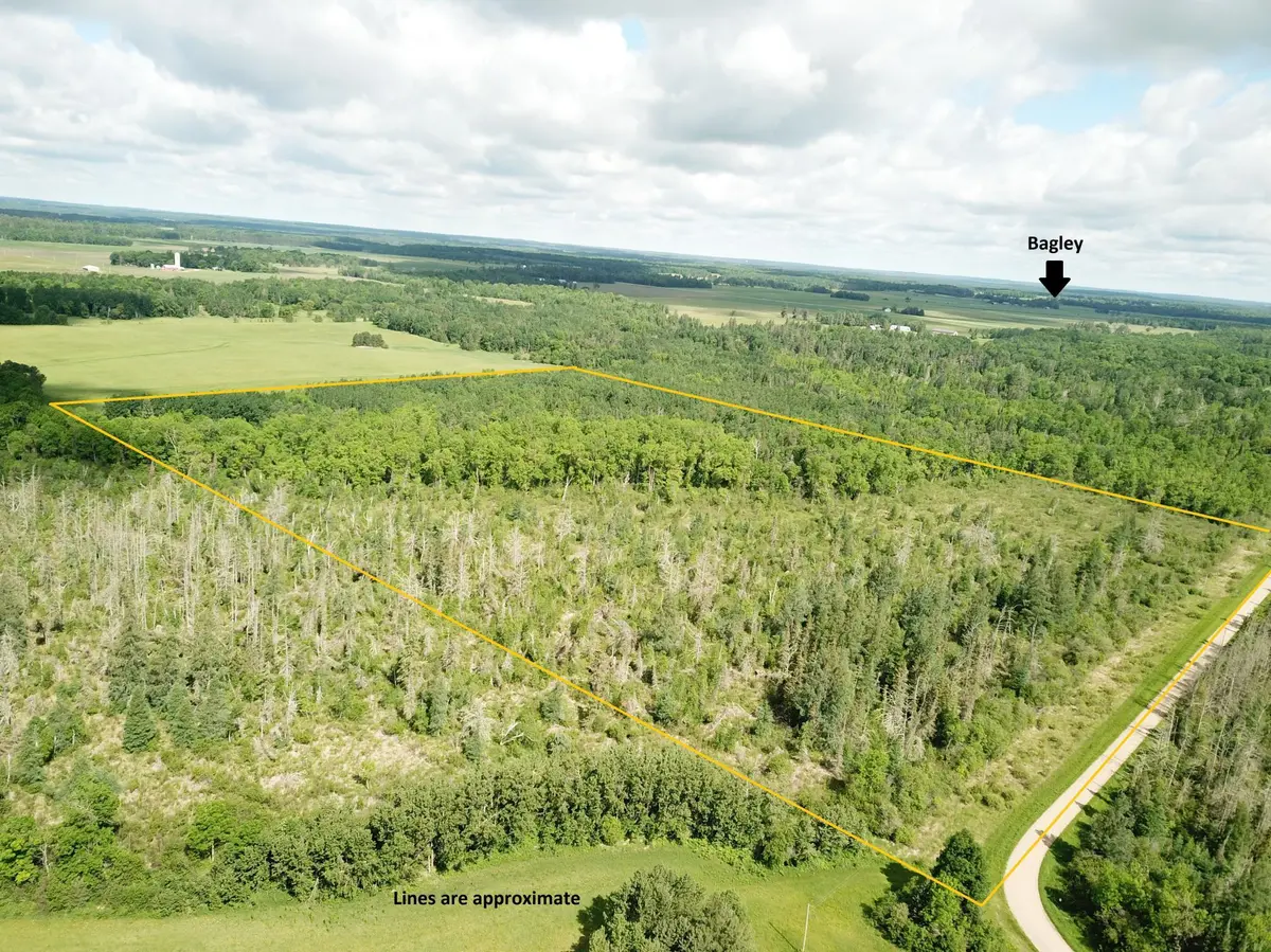 TBD1 Mud Lake RD, Bagley, MN 56621