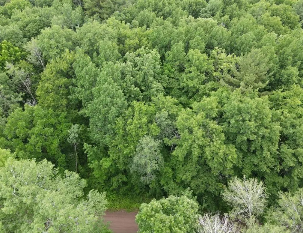 LOT 5 Wilderness Retreat, Pine City, MN 55063