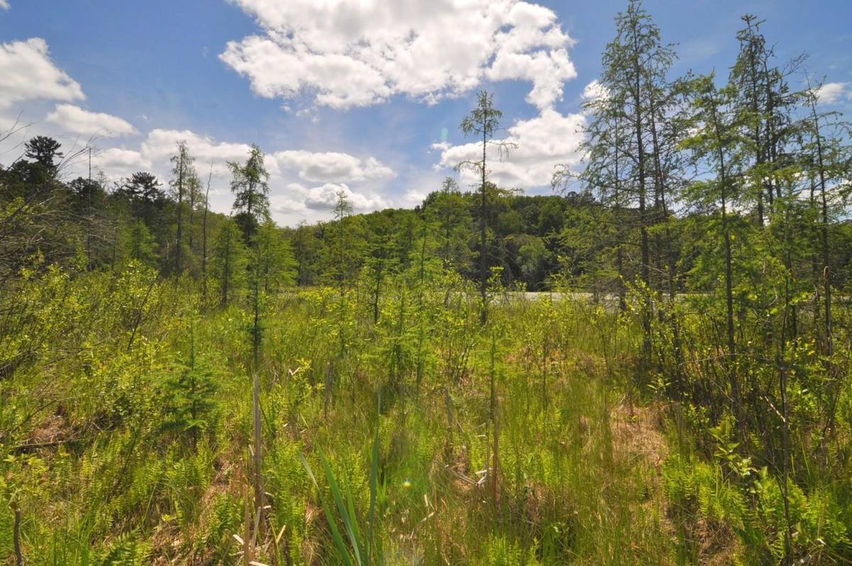 Lot 2 Evening Vista TRL NW, Shingobee Twp, MN 56433