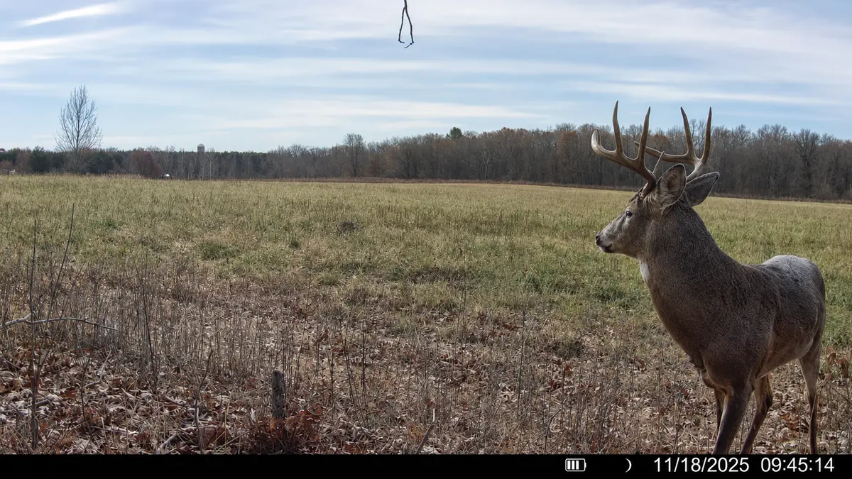 TBD County Road D, Emerald, WI 54013