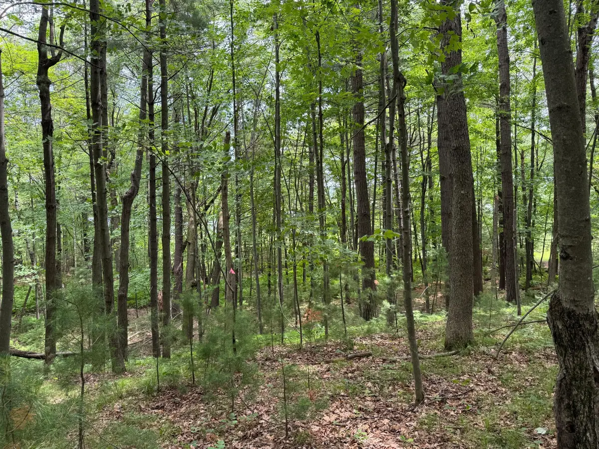 TBD Garden Dr, Siren, WI 54872