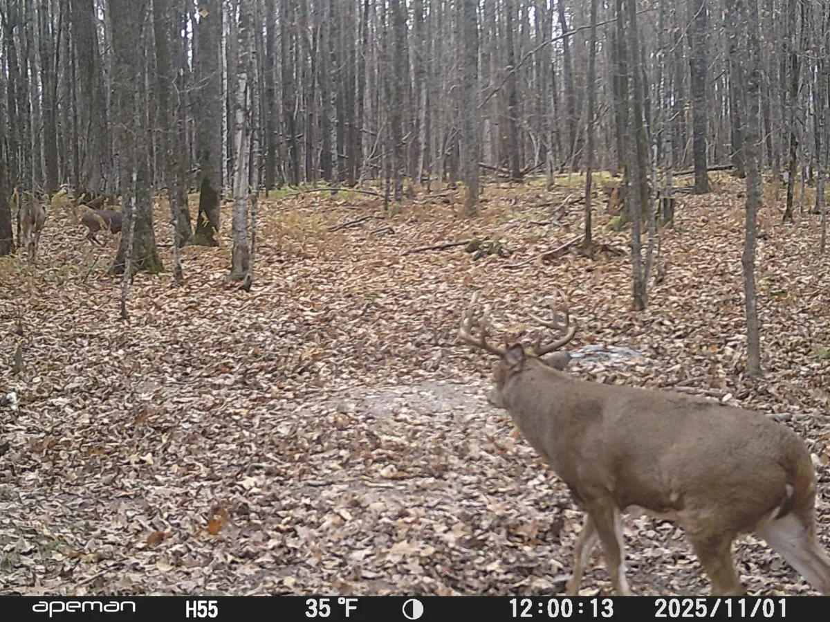 XXX W Eckel LN, Couderay, WI 54835