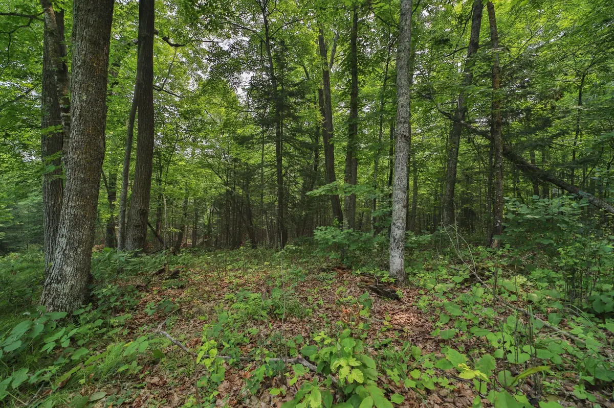TBD Garden Ln LN, Mcgregor, MN 55760