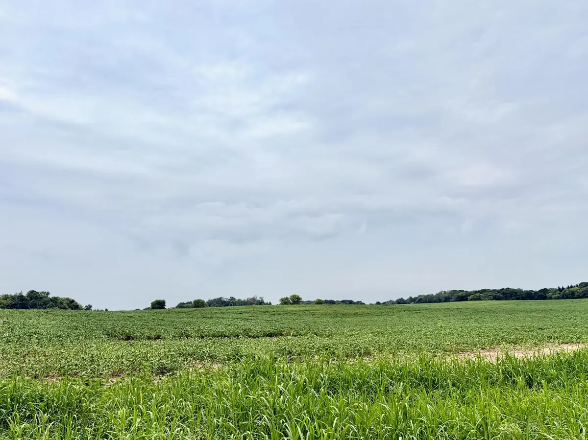 TBD (L3B2) Flamingo ST NW, Isanti, MN 55040