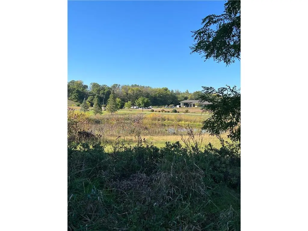 103 Green Lake CT, Lake City, MN 55041