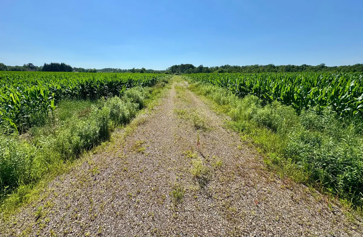 17891 90th AVE, Milaca, MN 56353