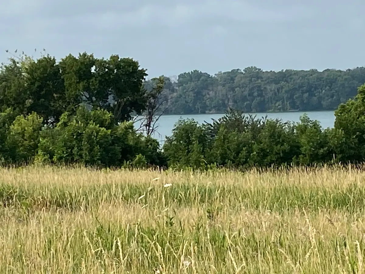 TBD 767th AVE, Albert Lea, MN 56007