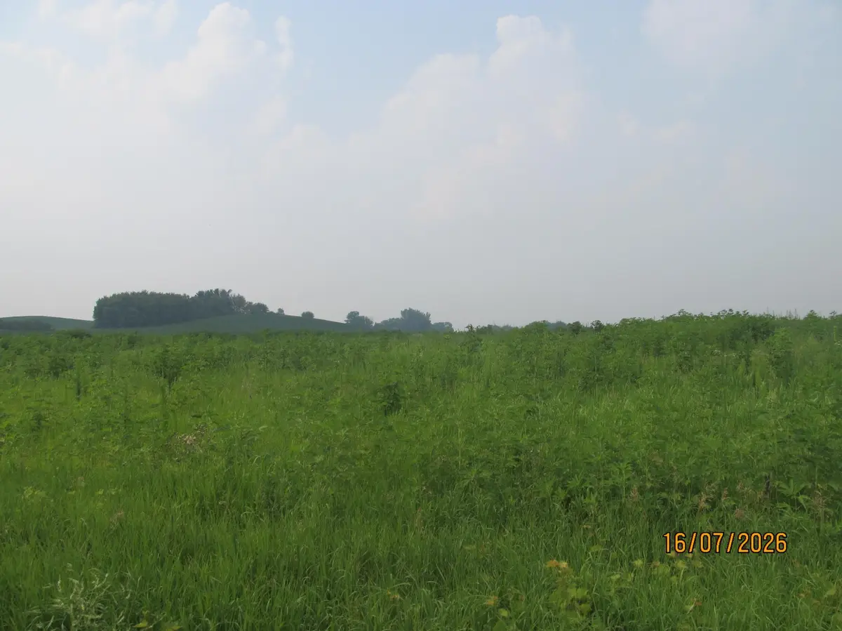 Lot 7 Benson LN, Roberts, WI 54023