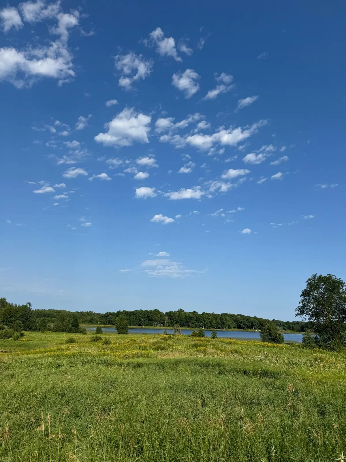 TBD 256th Lane, Aitkin, MN 56431