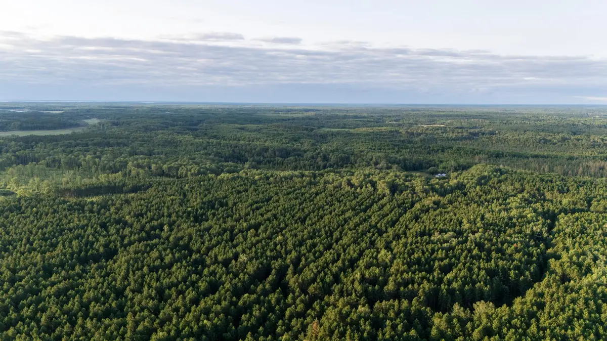 NESW Forest Road 3845 NE, Pennington, MN 56663