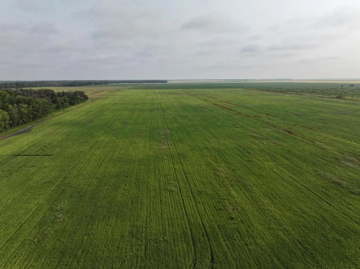 390th 390th st NW, Stephen, MN 56757
