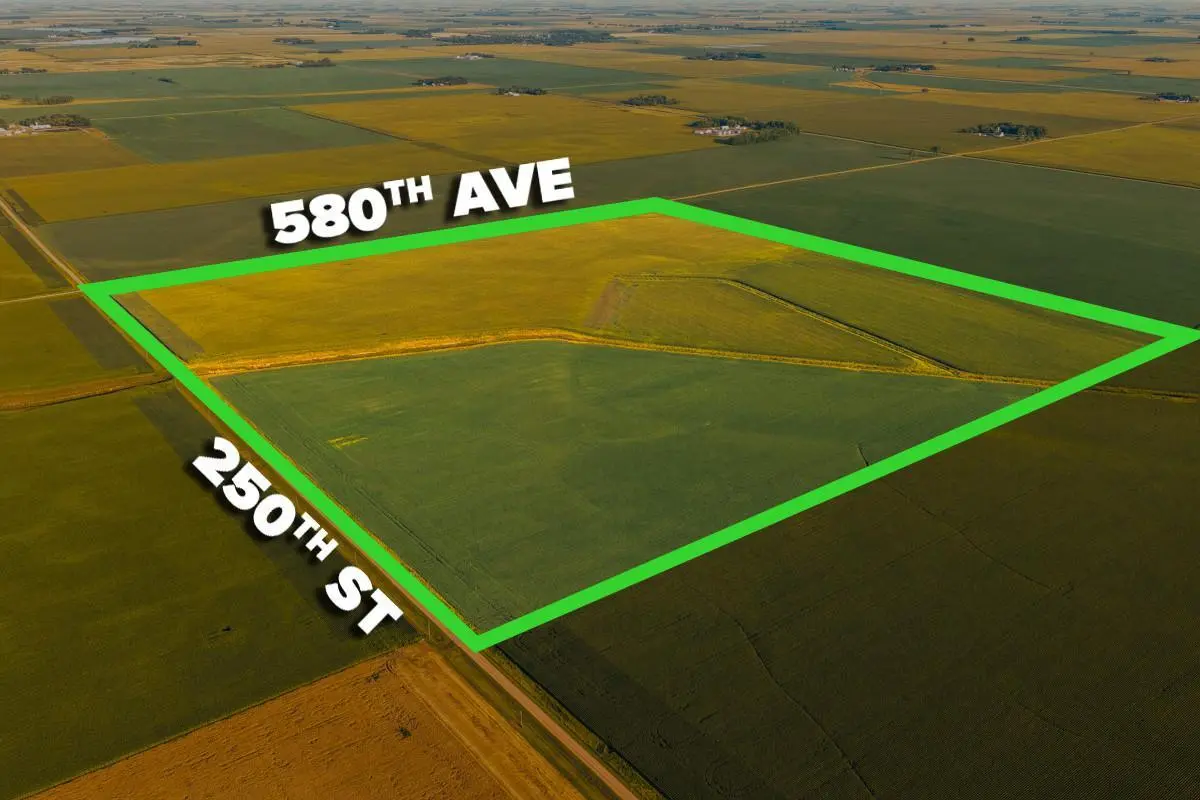 TBD 250th ST, Alberta, MN 56207