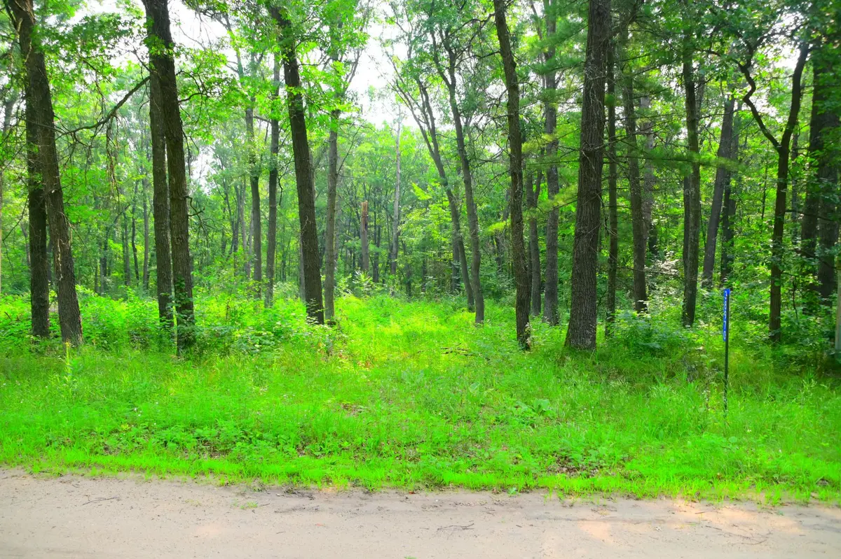 38970 Odin CT, Browerville, MN 56438