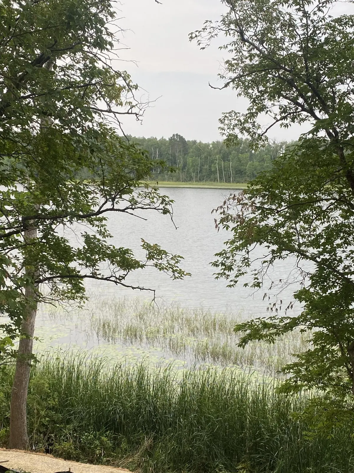 TBD Wolf Ridge DR, Cass Lake, MN 56633