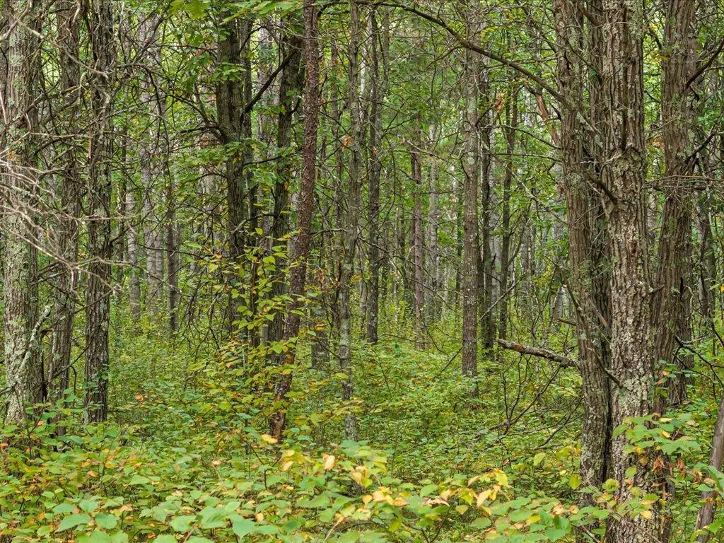 Lot F Sandbar Lane, Merrifield, MN 56465