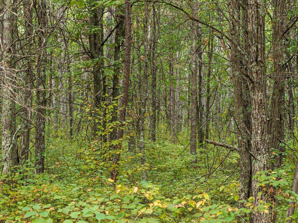Lot F Sandbar Lane, Merrifield, MN 56465