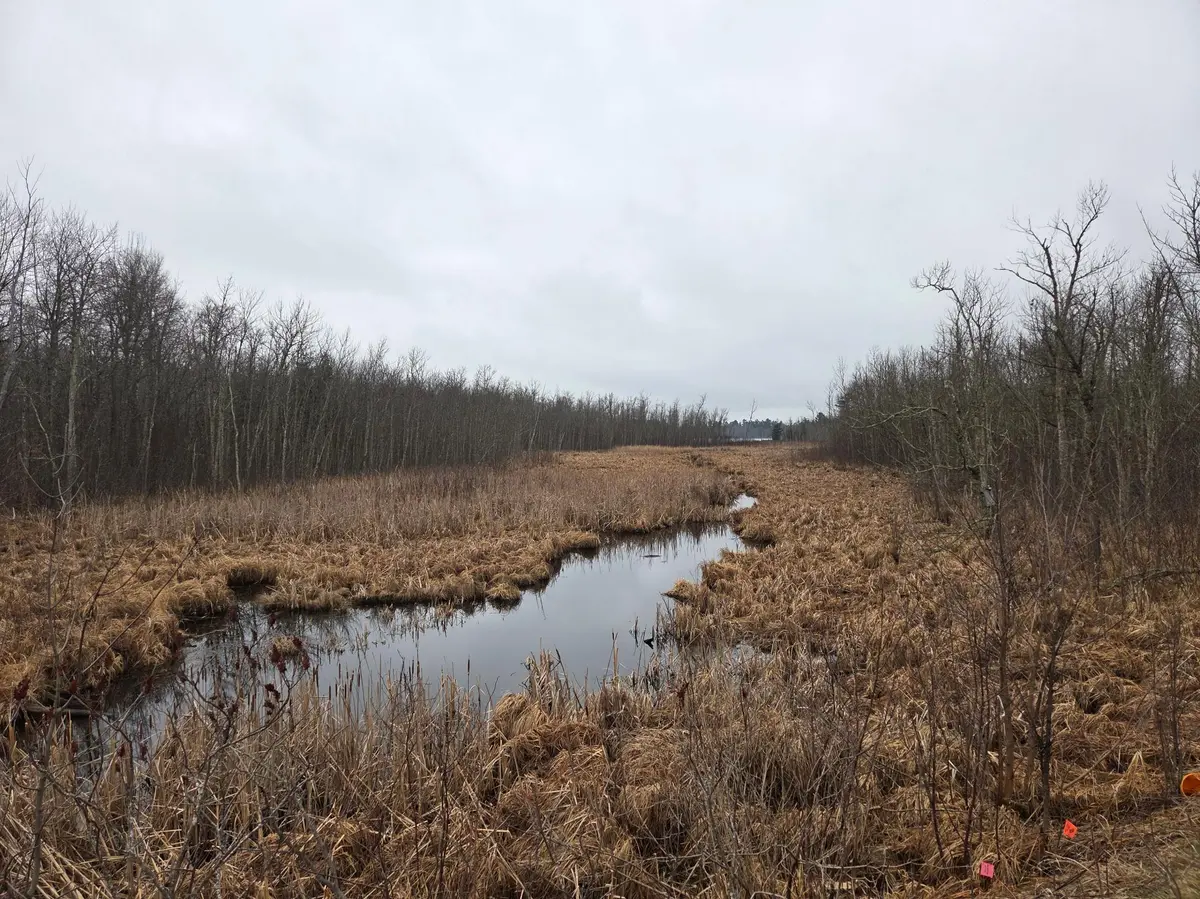 TBD County 11, Longville, MN 56655