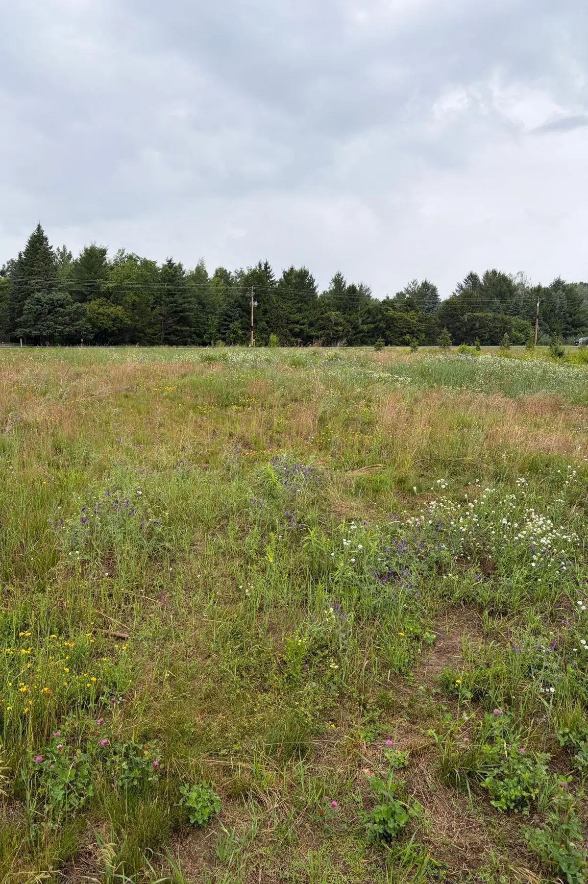 825 174th AVE NE, Ham Lake, MN 55304