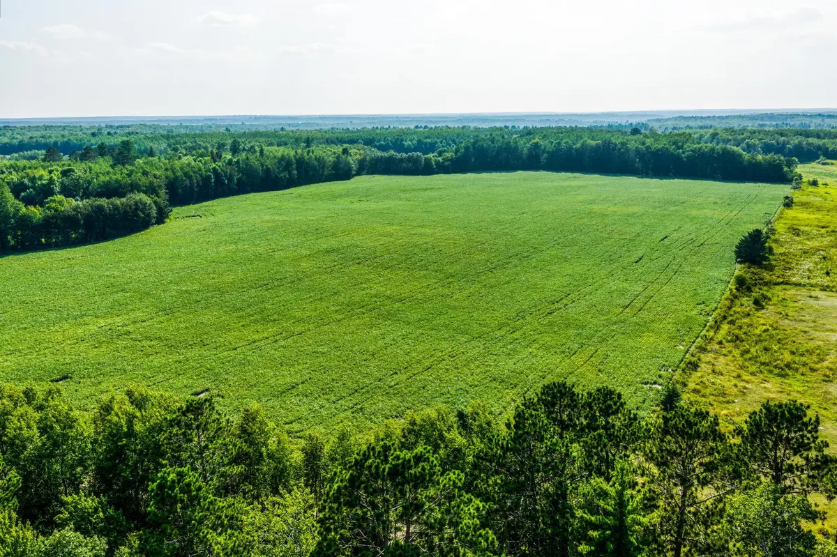TBD Buzzle RD NW, Shevlin, MN 56676