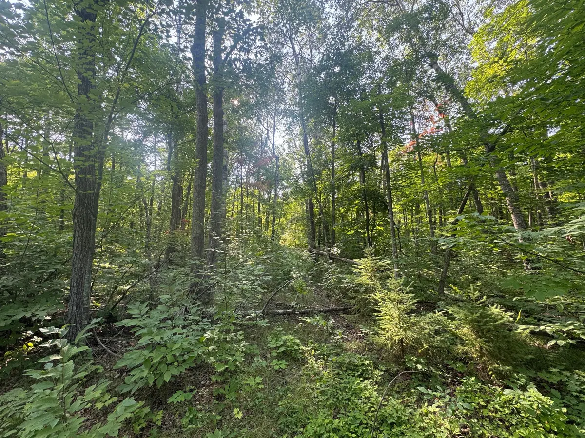 TBD Howard Lake RD NW, Akeley, MN 56433