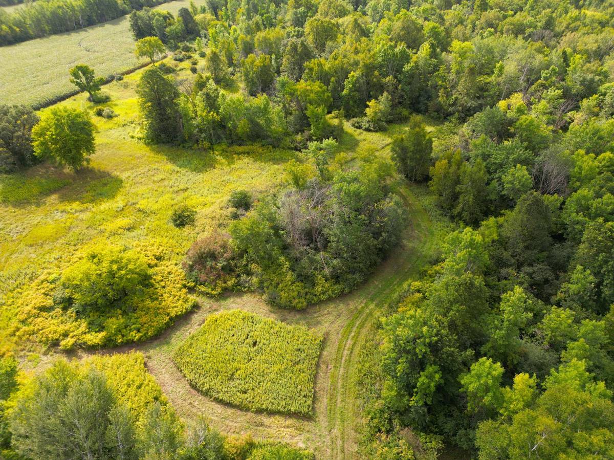 1XXX 150th AVE, Ogilvie, MN 56358