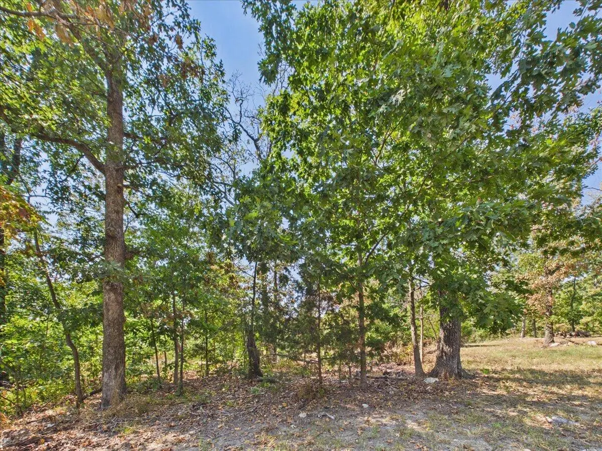 000 Wild Turkey Run, Urbana, MO 65767