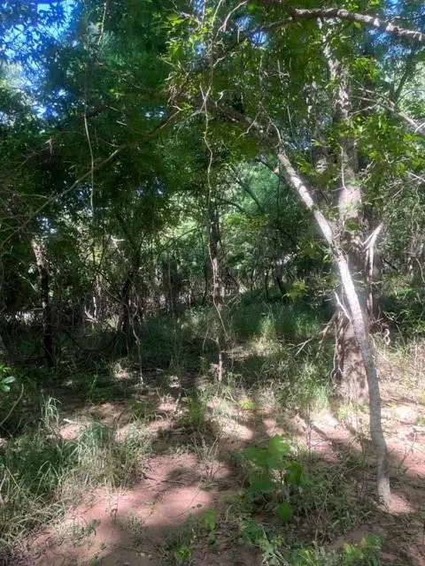 366 Riverside DR, Bastrop, TX 78602
