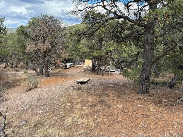 7908 Blaine, Fort Garland, CO 81133
