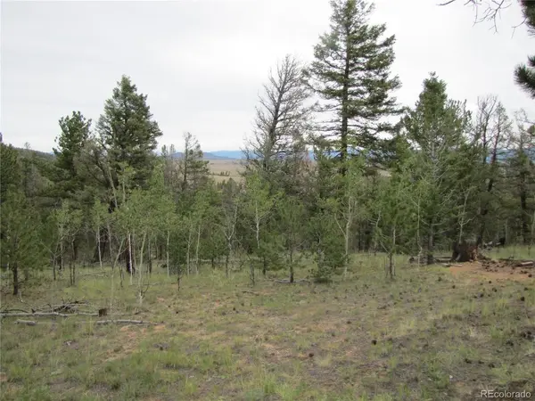 657 Pine, Hartsel, CO 80449