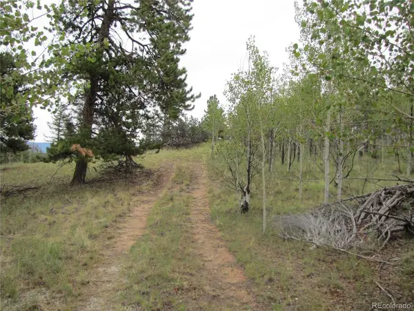 657 Pine, Hartsel, CO 80449
