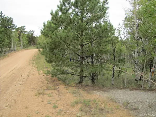 657 Pine, Hartsel, CO 80449