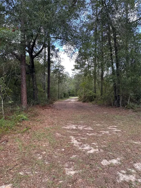 0 NE 127TH CT, Williston, FL 32696