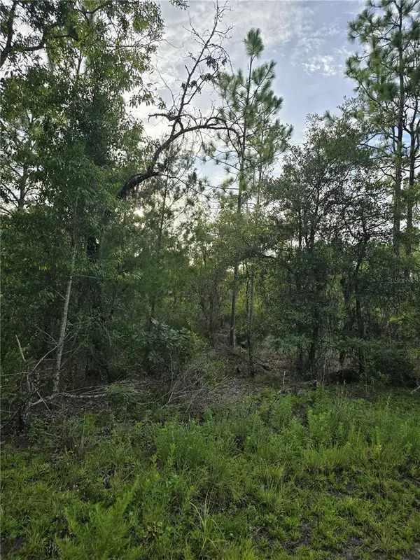 00 NE 124TH TER, Williston, FL 32696