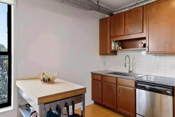 15 E Franklin AVE #309, Minneapolis, MN 55404
