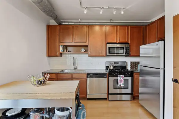 15 E Franklin AVE #309, Minneapolis, MN 55404