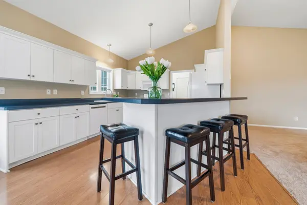 302 Ashley CT, Alexandria, MN 56308