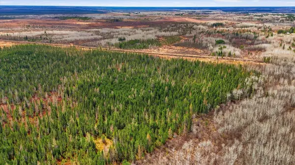 TBD Town Road #55, Big Falls, MN 56627