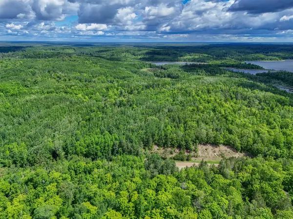 TBD Lot A Co Rd 533, Effie, MN 56639