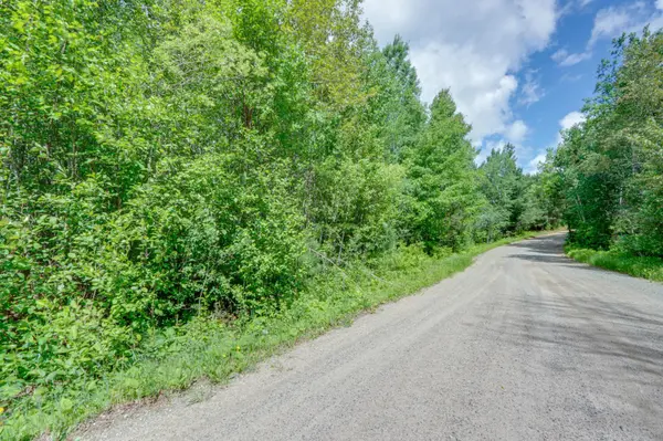 TBD Lot C County Road 533, Effie, MN 56639