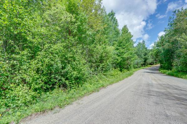 TBD Lot C County Road 533, Effie, MN 56639
