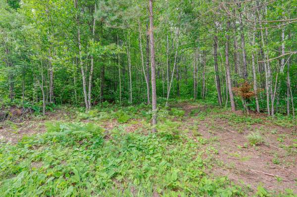 TBD Lot C County Road 533, Effie, MN 56639