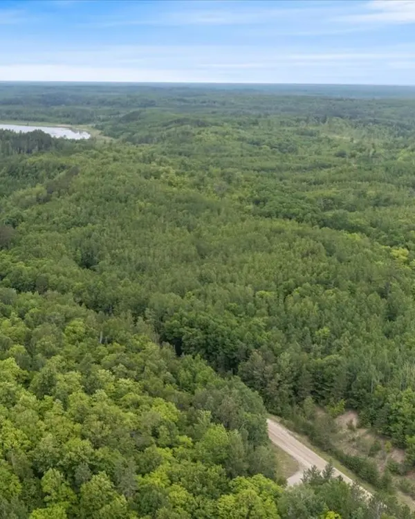 TBD Lot B Co Rd 533, Effie, MN 56639