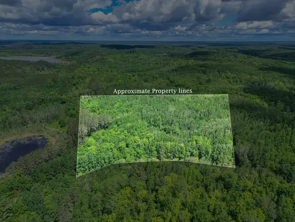 TBD Lot B Co Rd 533, Effie, MN 56639