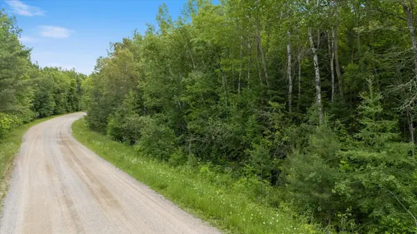 TBD Lot B Co Rd 533, Effie, MN 56639